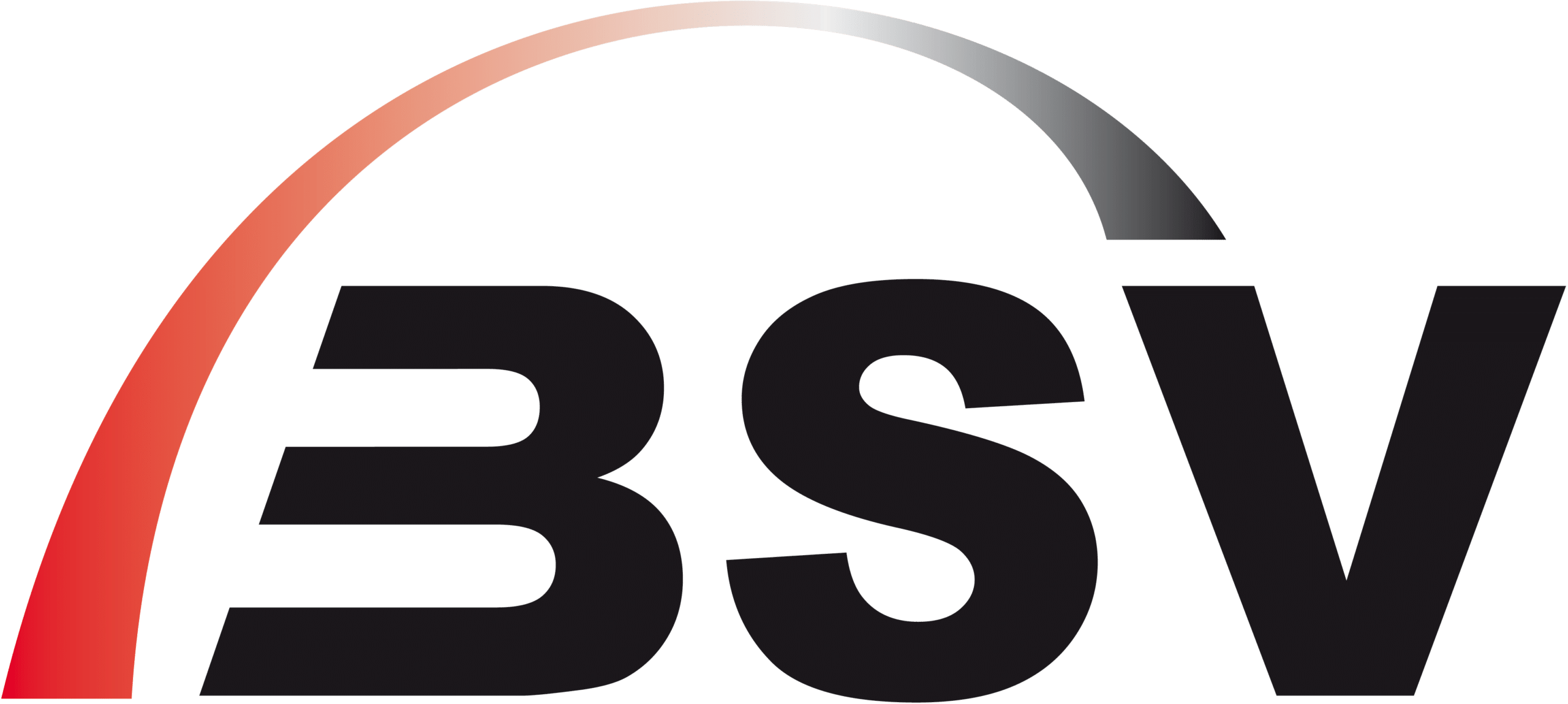 BSV_Logo