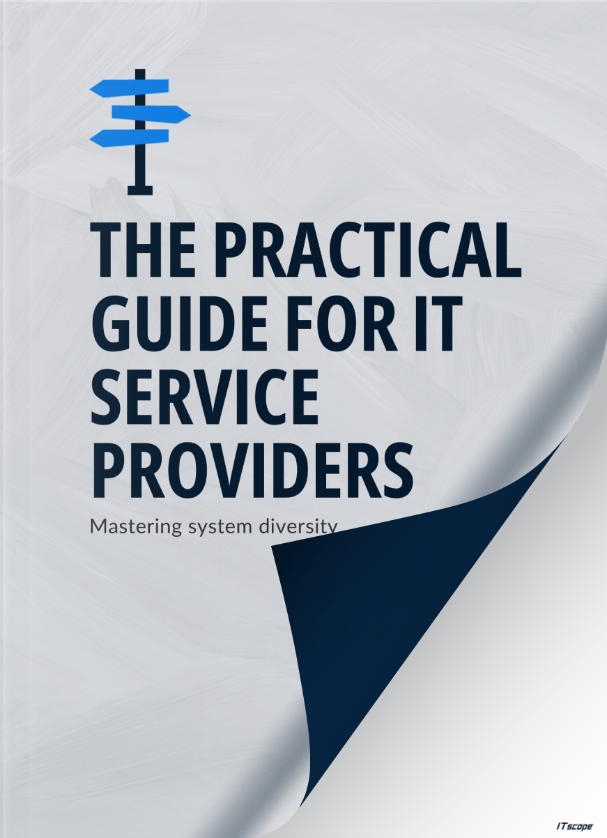 The practical Guide for IT Service Providers - Whitepaper
