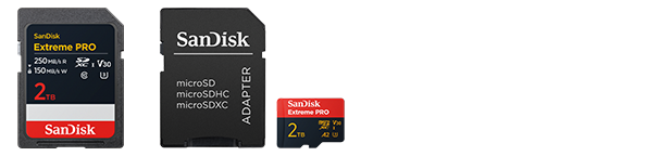 SanDisk Premiumpartner Cards - Produkte