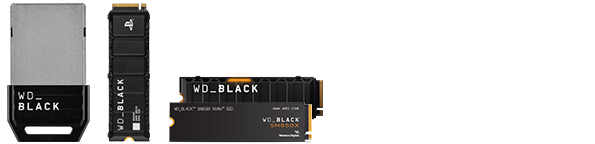 SanDisk Premiumpartner Gaming - Produkte