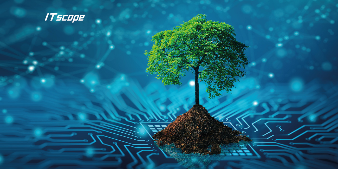 Baum wächst auf Chip: Green IT bei ITscope