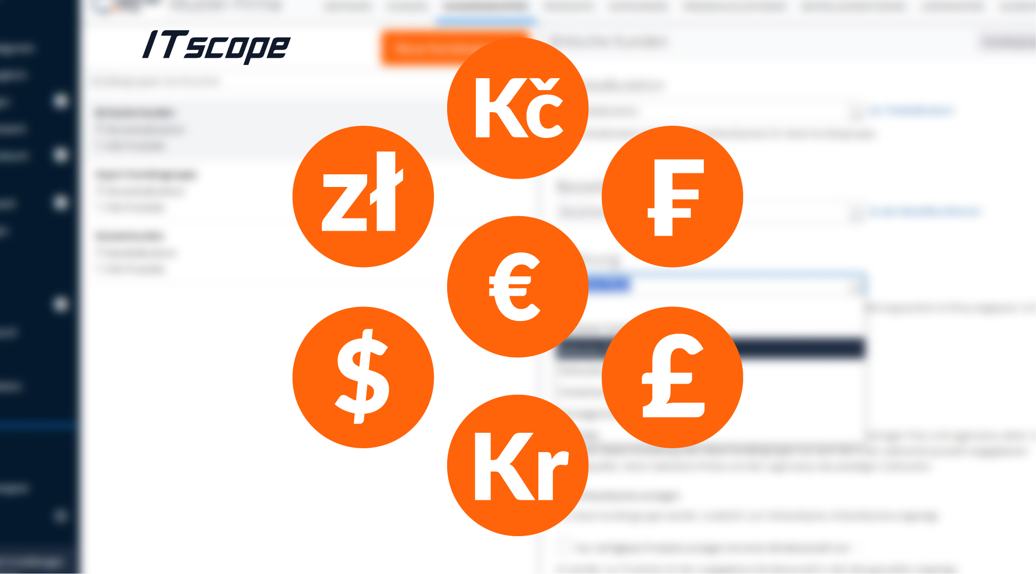Das Bild zeigt die Icons der im ITscope B2B Shop darstellbaren Fremdwährungen.