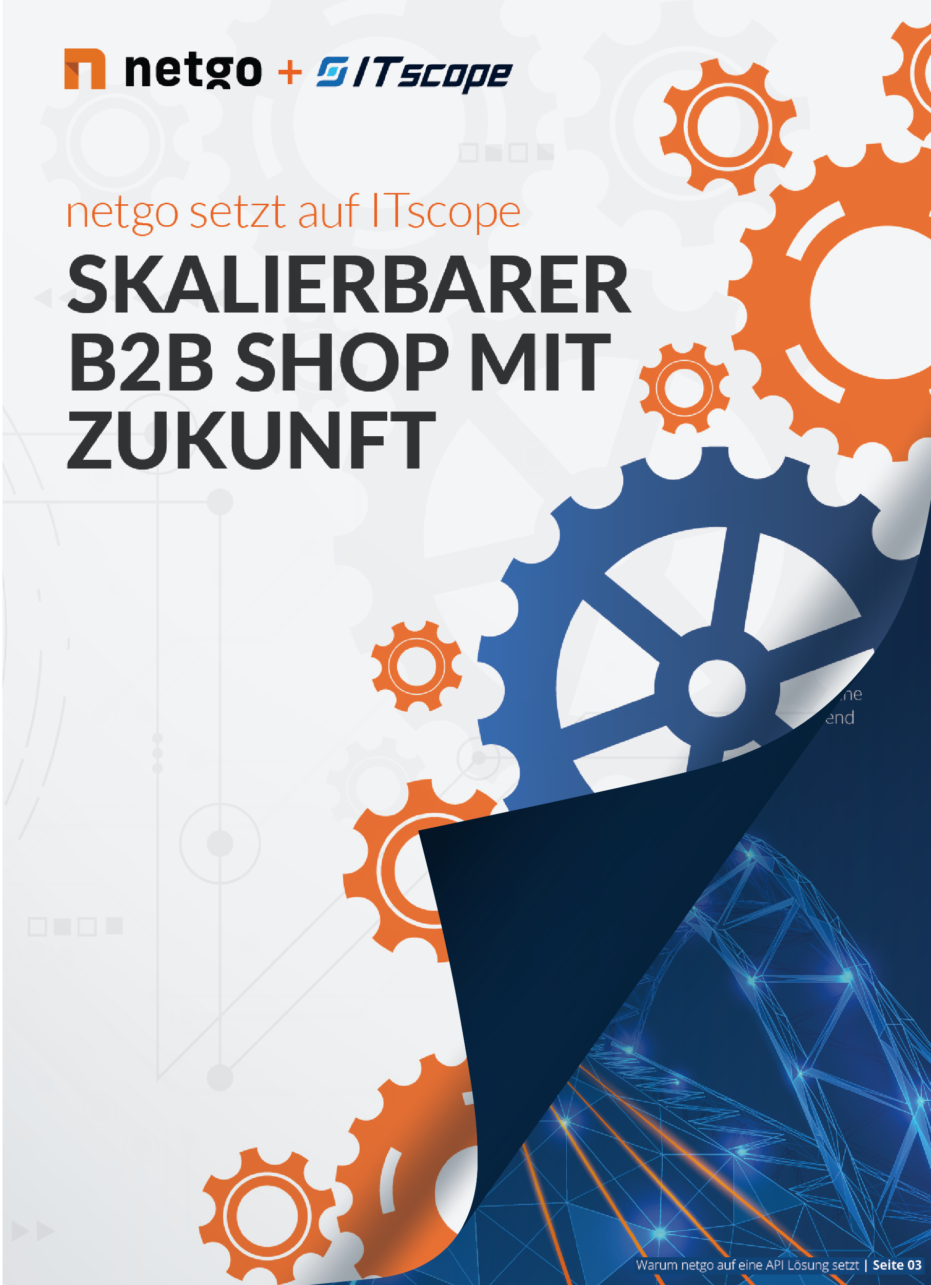 Mockup-Success-Story-netgo-de