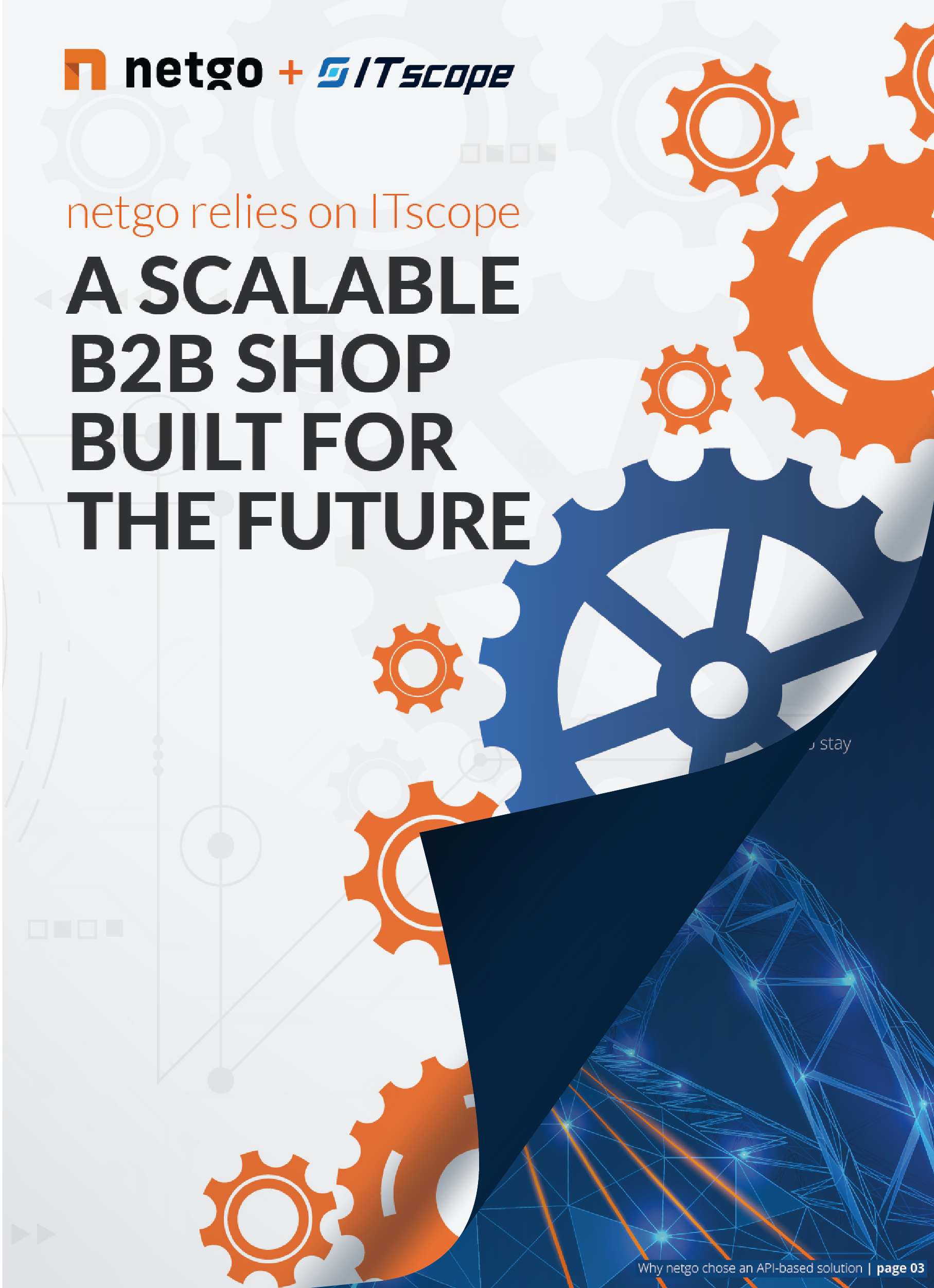 Mockup-Success-Story-netgo-en