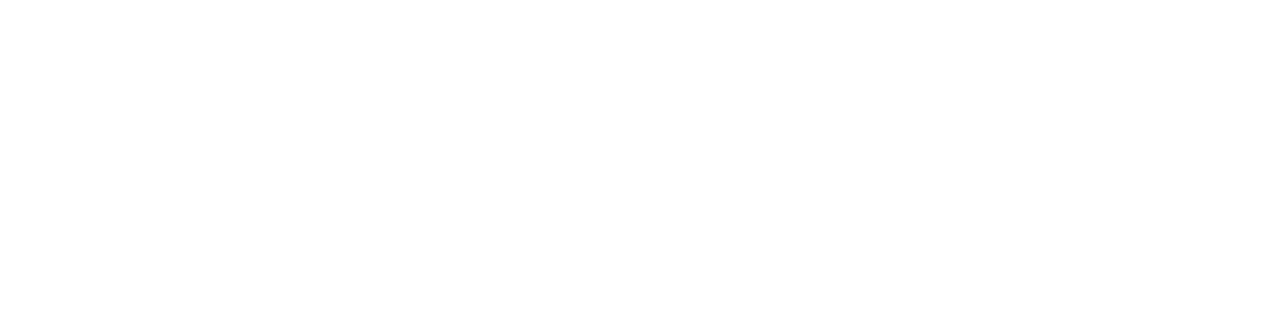 vario-weiss VARIO logo